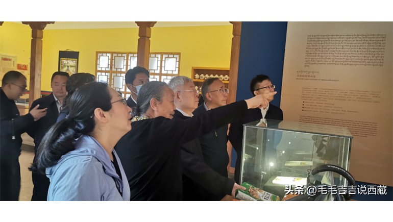 原國務(wù)院扶貧辦主任劉永富一行蒞臨奇正青稞考察調研