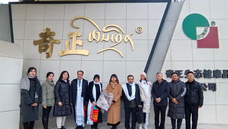 深掘藏醫瑰寶，共繪健康新篇——伊朗代表團蒞臨奇正集團參訪(fǎng)交流